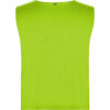 VERDE FLUOR