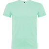 VERDE MENTA