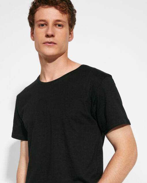 COLLIE - Imagen 5