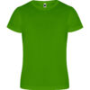 VERDE HELECHO